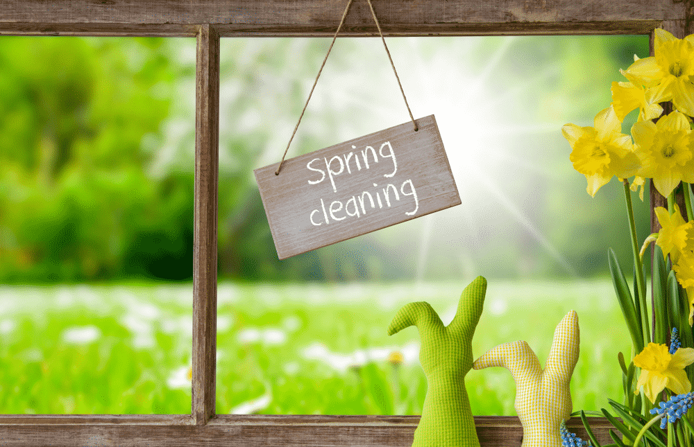spring cleaning tips