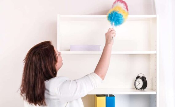 How To Reduce Dust In House