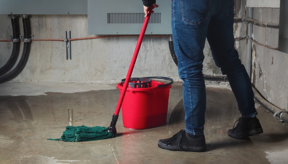 basement floor cleaning