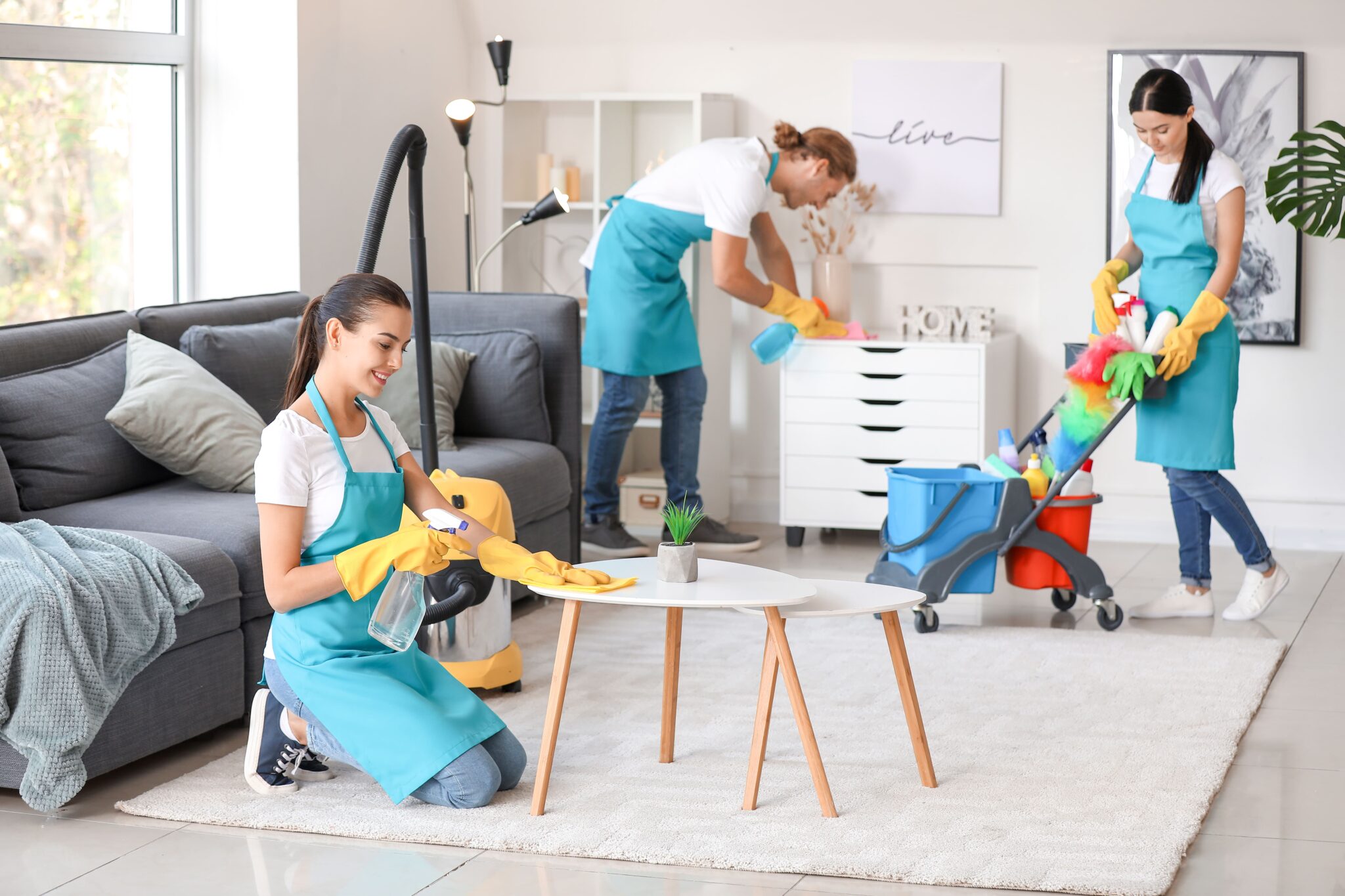 house cleaning service cost in LA, CA