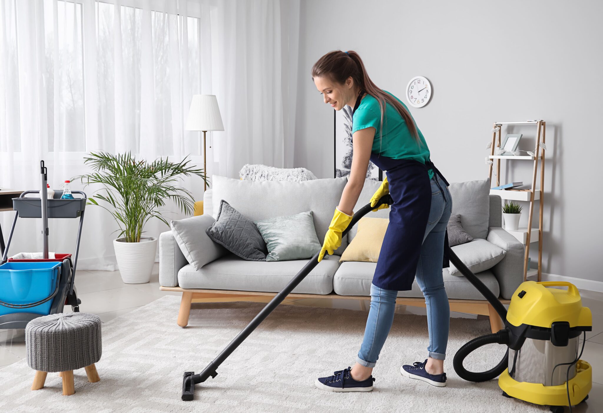 basic house cleaning