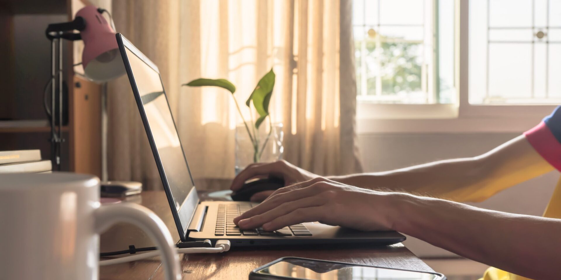 work from home cleaning schedule