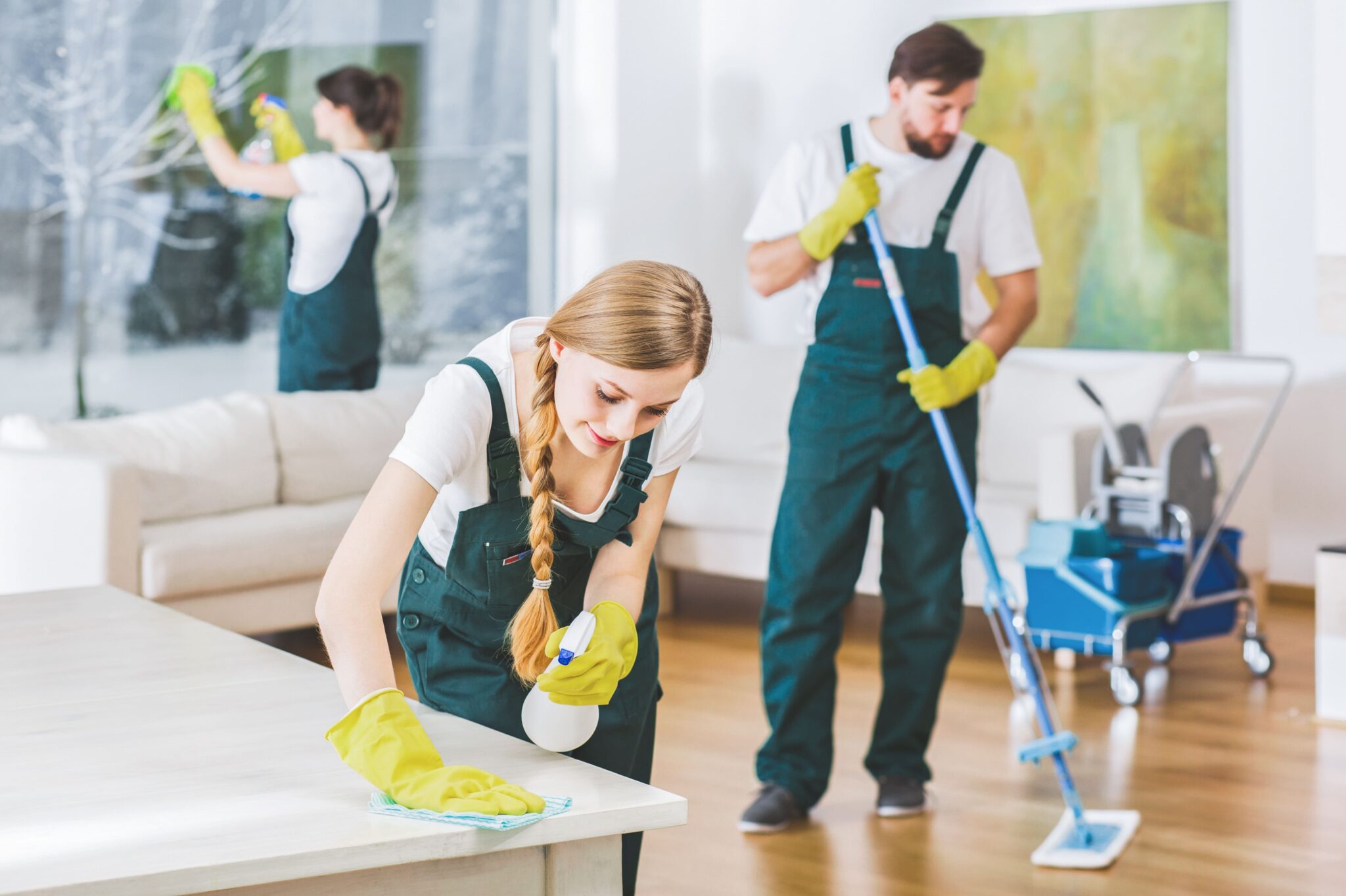 same day cleaning service